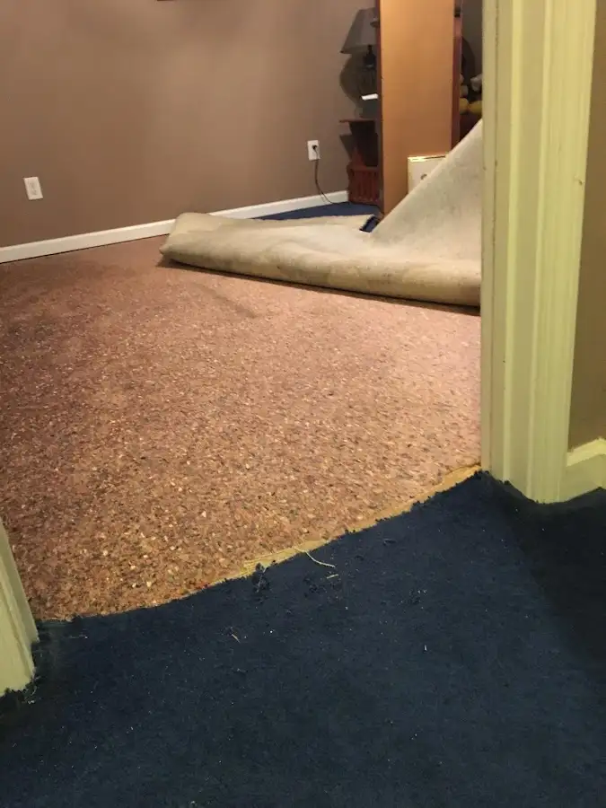 Carpet pad removal revealing water damage during Drying & Dehumidification in Lynchburg, Moore County